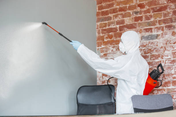 Best Dehumidification Services  in Batavia, IL