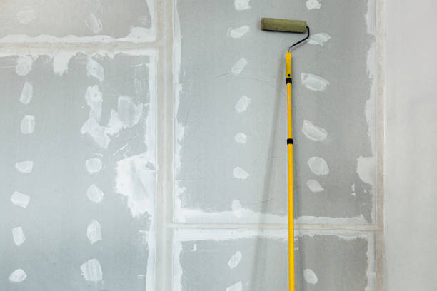 Best Attic Mold Removal  in Batavia, IL