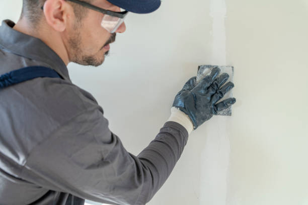 Best Mold Prevention Services  in Batavia, IL