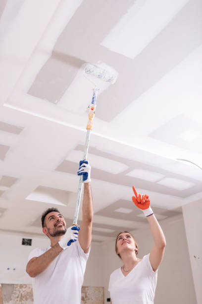 Best Mold Removal for HVAC Installations  in Batavia, IL