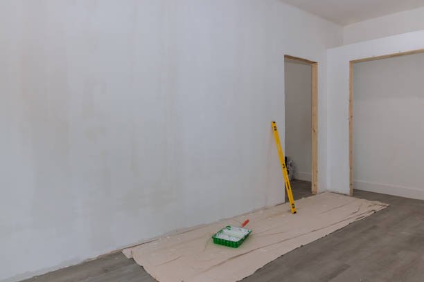Reliable Batavia, IL Mold Removal Solutions
