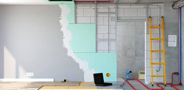 Best Black Mold Removal  in Batavia, IL