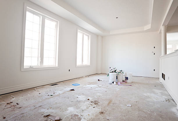 Best Basement Mold Removal  in Batavia, IL