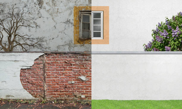 Best Attic Mold Removal  in Batavia, IL