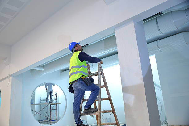 Best Mold Removal for HVAC Installations  in Batavia, IL