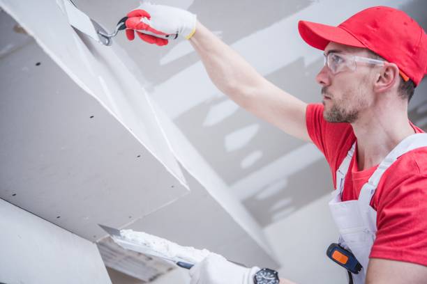 Best Mold Damage Restoration  in Batavia, IL